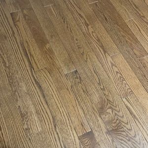 Meet your Posher, Tanzeena